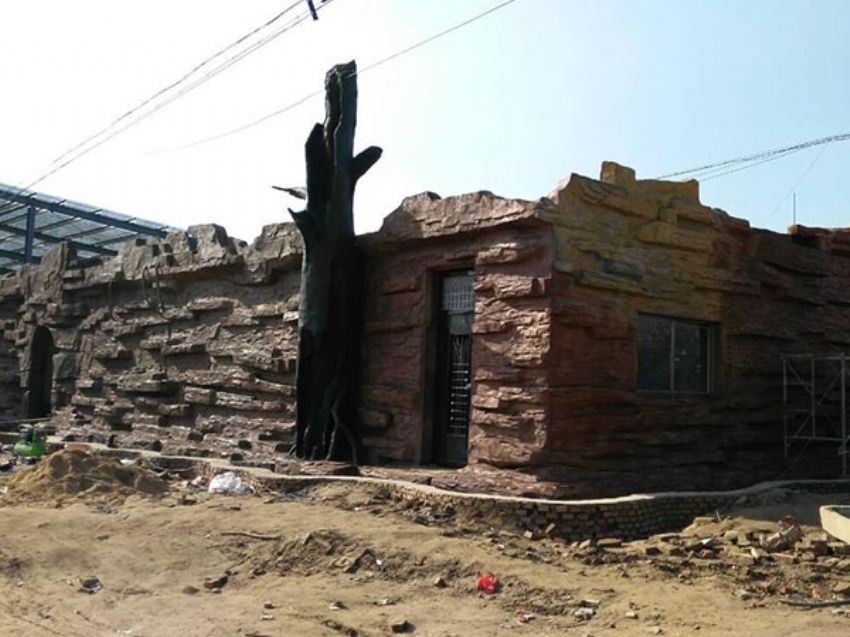 點擊查看詳細信息<br>標題：假房子 閱讀次數：1332