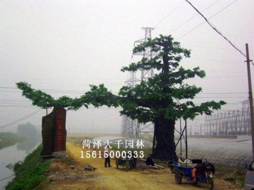 點(diǎn)擊查看詳細(xì)信息<br>標(biāo)題：假樹(shù) 閱讀次數(shù)：1375