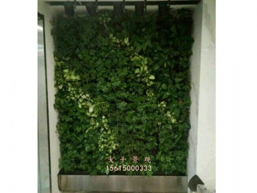 點擊查看詳細信息<br>標題：綠植墻 閱讀次數：2144