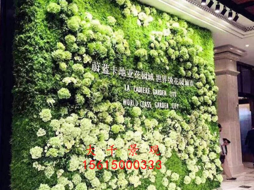 點擊查看詳細信息<br>標題：綠植墻 閱讀次數：2111